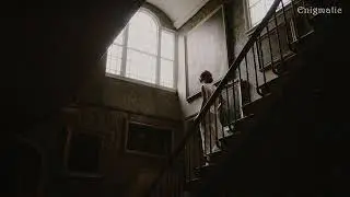 Imagine you're in an old house with loneliness ( dark academia playlist )