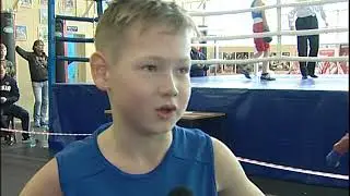Первенство по боксу прошло в СК «Луч»