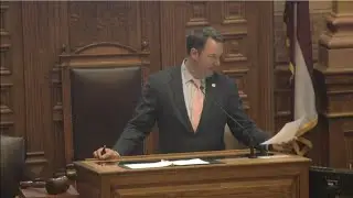 Georgia Senate 2023 - Day 38 Afternoon Part 3