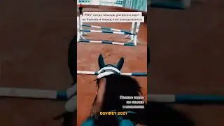 крутой юмор😅тг с новостями - @eqvirey