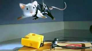 Грабеж средь бела дня😳