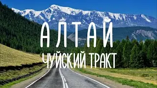АЛТАЙ #6. Чуйский тракт – самая красивая дорога России / Петроглифы Калбак-Таш / Гейзеровое озеро