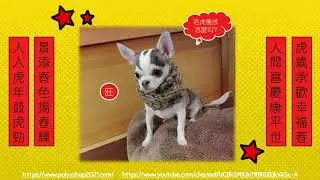 Mr. Dobby's Channel - 2022 Happy Chinese New Year