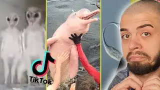 Смотрим Tik Tok Лучшие Тик токи  2022 реки Тик Ток