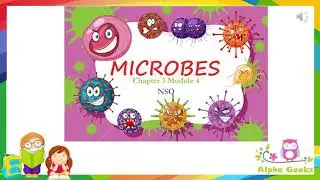 Food and Digestion  - Module 3.4 (Chapter 3 - Olympiad Class 4 Science)