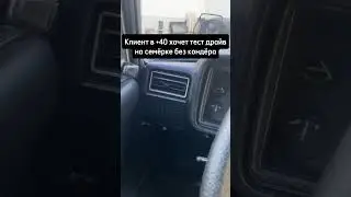 Жиза
