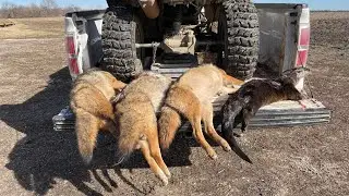 2023 Trapping Season (END OF SEASON)