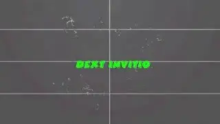 Интро №3 Dext