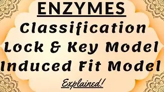 Classification of Enzymes | Biomolecules Inhibitors | Mechanism of Enzyme Action Lock and Key Model