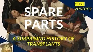 'Spare Parts: a surprising history of transplants' interview with Paul Craddock