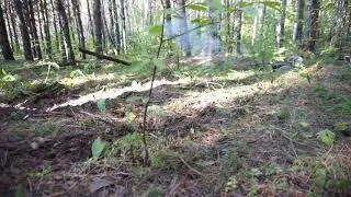 Фрагмент тренинга 