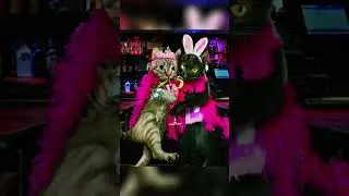 Корпоратив😂 