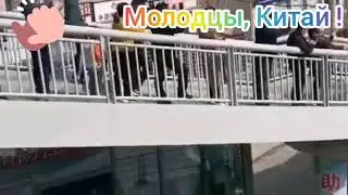 В Ухане медиков увозят домой ❣❣❣