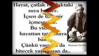 Semih Kavramak Bomo