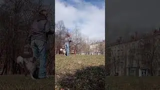 Циркачи-трюкачи готовятся 🤩🐾 