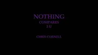 Chris Cornell - "Nothing Compares 2 U" Prince Cover
