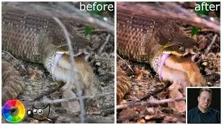 Editing Your Photos Part 6 | Rawtherapee 5.8 | Gimp 2.10