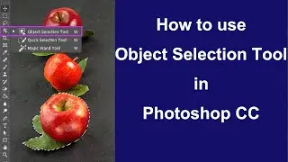 How to Use the Object Selection Tool in Adobe Photoshop CC