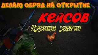 Сталкер Онлайн.Открытие кейсов.Stay Out.