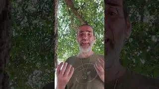 איך מזהים נסיגת חניכיים?