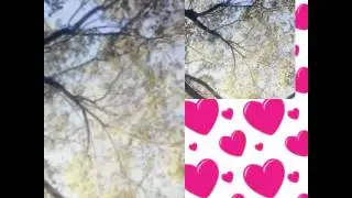 Мастер видео коллажей