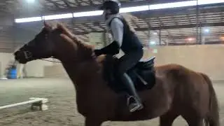 Jumping lesson w Doni Boni 🫶