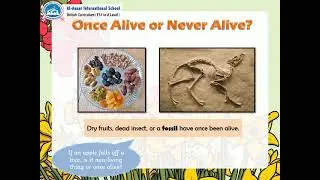 AY2021  T1 W2  PERIOD 4  SCIENCE - Living and Non-Living Things