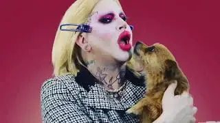 JEFFREE Star Licking Dog