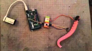 The 'knife-wielding tentacle' Build. Full version