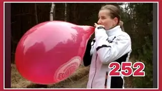 252 - Yvy classic - b2p a 16