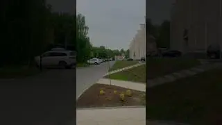 World First трюки на самокате🌍 