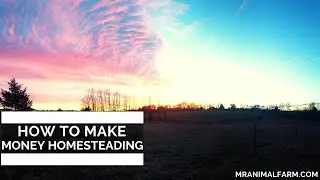 How To Make Money Homesteading