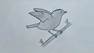 Bird Sketch Came to Life | Amazing Flying Bird Pencil Sketch Animation 