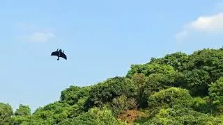 INNLOI DIY VTOL 3