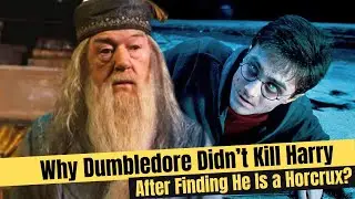 Why Dumbledore Didn't Kill Harry After Finding He is a Horcrux | Explained in Hindi