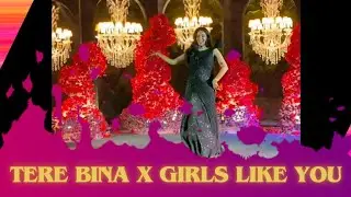Tere Bina | Girls like you | Sister solo dance | Wedding Dance | Raghav Vats | #weddingdance