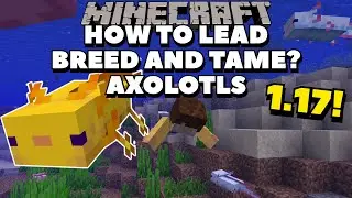 HOW TO LEAD, BREED, AND TAME? AXOLOTLS IN MINECRAFT 1.17! | Minecraft 1.17 Tutorials