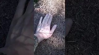 средство от клещей в диких условиях