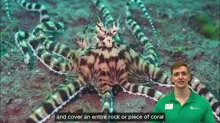 March 2024 - Wunderpus