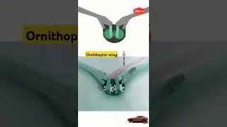 Ornithopter wing mechanism 🪽 
