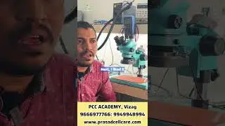 “Real Student Experiences: PCC Academy July 2024 Batch Review”