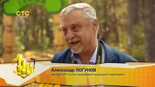 Лесная сказка в центре мегаполиса