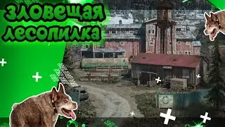 Орда на лесопилке (прохождение Days Gone на ПК №35)