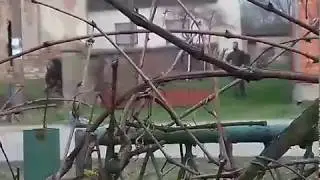 Film General - ulične borbe Zapadna Slavonija (nemontirano)