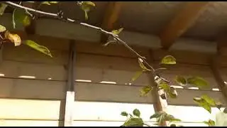 Видео от мастера Виктора который собирает дом 🏠 в Санкт Петербурге.