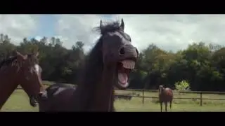 Lustige Volkswagen Werbung😂😂😆/ Versuche nicht zu lachen oder zu grinsen