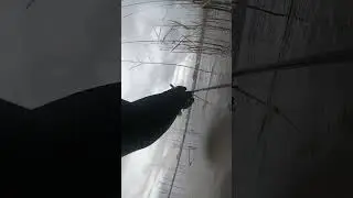 17 декабря 2023 г.
