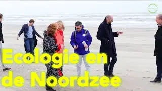 Ecologie en de Noordzee