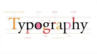 Typography | Understanding the basics