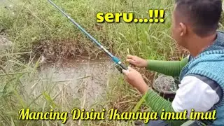 Mancing Di parit Kecil Seru